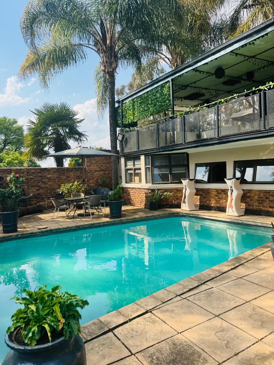 Pool among the palms